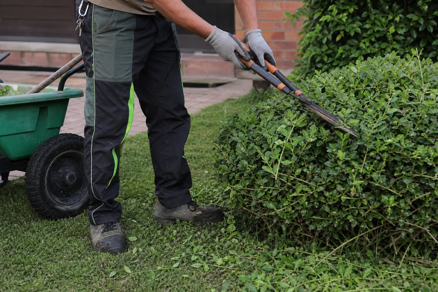 Servizi di Giardinaggio