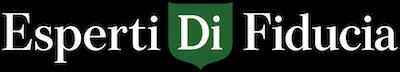 Logo Footer