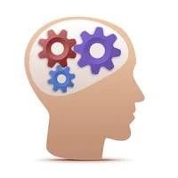 SFWEB - Web Agency