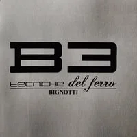 Bignotti Tecniche Del Ferro