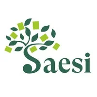 Saesi Srl - Fotovoltaico Catania