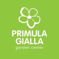 Primula Gialla Garden Center