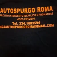 Autospurgo di Nicola